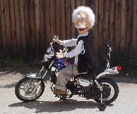 Harley